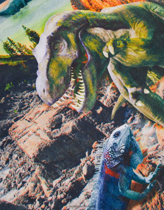 Monsoon skaitmeninio spausdinimo dinozaurų scenos marškinėliai berniukas mėlyna apranga DPXBJ2271