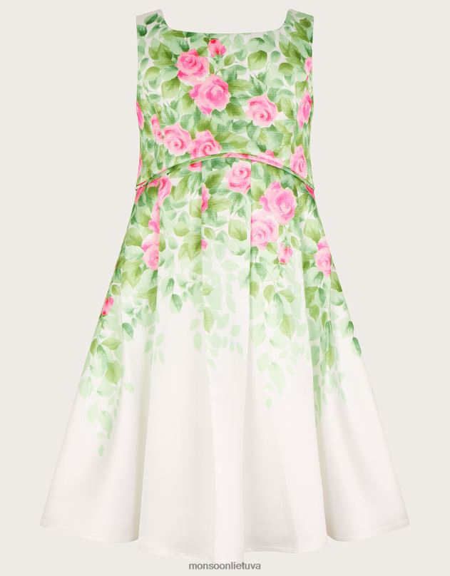 Monsoon Botanikos rašto rožių hercogienės suknelė mergina dramblio kaulo apranga DPXBJ1816