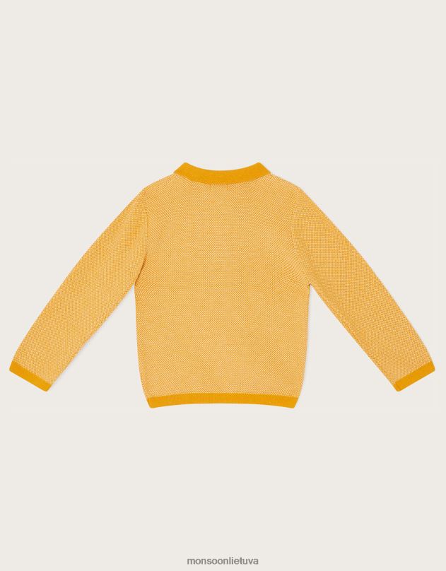 Monsoon mišraus trikotažo polo megztinis berniukas geltona (garstyčių) apranga DPXBJ2236