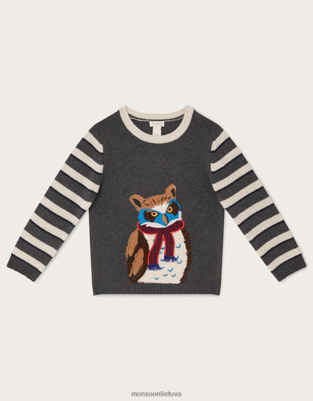 Monsoon tekstūruotas pelėdos aplikacinis džemperis berniukas pilka apranga DPXBJ2242